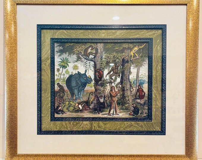 Johann Georg Heck Framed “Primates & Rhinos” Print by Paragon Picture Gallery