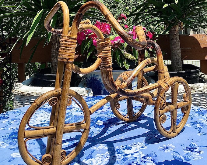 Vintage Tortoise Bamboo Bicycle Art
