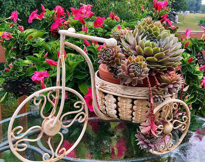 Rustic Cast Iron Bicycle Planter with Pot
