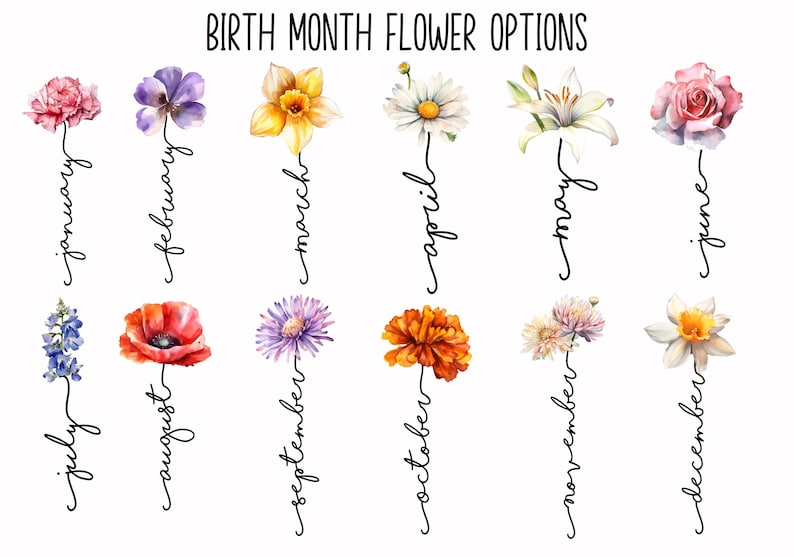 May include: A chart titled BIRTH MONTH FLOWER OPTIONS featuring twelve watercolor illustrations of flowers, each paired with its corresponding month name in black cursive script, ranging from January to December in a two-row grid layout.