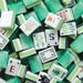 Jade Mist American Mahjong Set, Soft Green Acrylic Tiles, Botanical Design, Gift