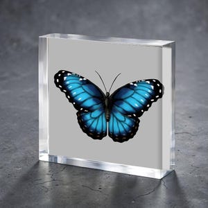 Blue Morpho Butterfly Acrylic  Block for Baby Stork Farm Design Name Date Lámina acrílica Pintura Acrílico Exhibidor de escritorio