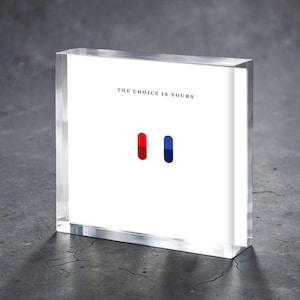 The Choice Is Yours Acrylic  Block for Baby Stork Farm Design Name Date Lámina acrílica Pintura Acrílico Exhibidor de escritorio