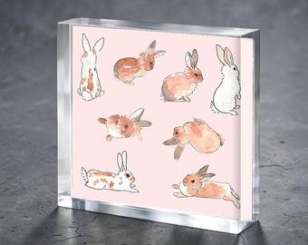 Bunny Rabbit Watercolor Stickers Acrylic Block for Baby Stork Farm Design Name Date Acrylic Sheet Painting Acrylic Desktop Display