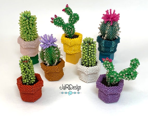 270 DIY Kaktus Deko, Cactus-Ideen