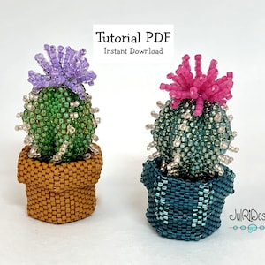 Mini Cactus - Lilac Flower TUTORIAL/pattern/instructions/PDF