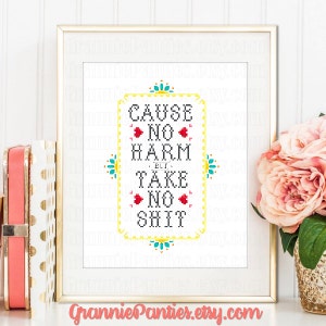 PDF PATTERN ONLY Cause no harm but take no sht counted cross stitch sampler 8x10 image 3