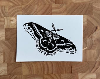 Cecropia Moth Linoleumsnitt