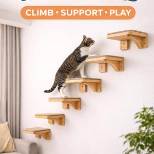 May include: Wooden pet wall stairs with a cat climbing up. The stairs are mounted on a white wall and have a neutral-colored carpeted surface. Text at the top reads "PET WALL STAIRS" and "CLIMB SUPPORT PLAY".
