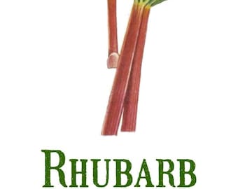 Vintage Rhubarb Botanical Print: Vegetable Garden Art (Digital Download)