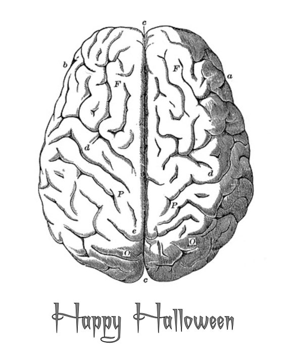 Anatomical Brain Printable Halloween Brain Poster Halloween | Etsy