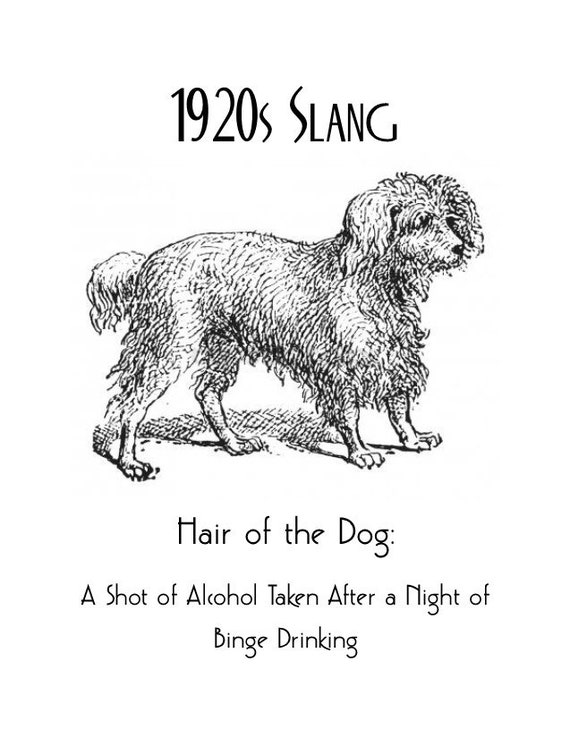 1920s Art Deco Slang Poster Hair of the Dog Poster Vintage - Etsy UK