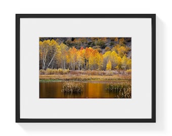 There Is No More Time to Wait, California Sierras Wall Art