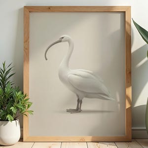 May include: A framed print of a white ibis bird with a distinctive long, curved beak. The artwork is set against a neutral backdrop within a wooden frame. The image is displayed near potted plants, creating a natural aesthetic. The print is suitable for home decor.