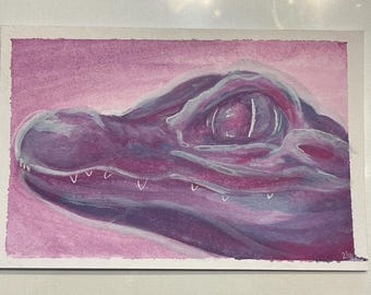 Albino Alligator Post card