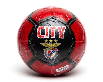 Ballons de soccer pour équipes nationales (plusieurs modèles)