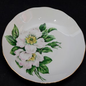 Vintage Queen Anne Christmas Rose Saucer: Hand-Painted England Bone China