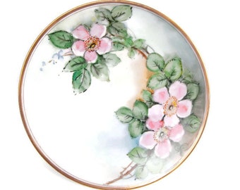 Antique Striegau Silesia Porcelain Cabinet Plate Hand Painted Pink Wild Roses 7 Inch