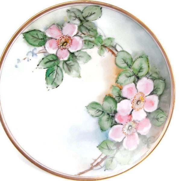 Antique Striegau Silesia Porcelain Cabinet Plate Hand Painted Pink Wild Roses 7 Inch