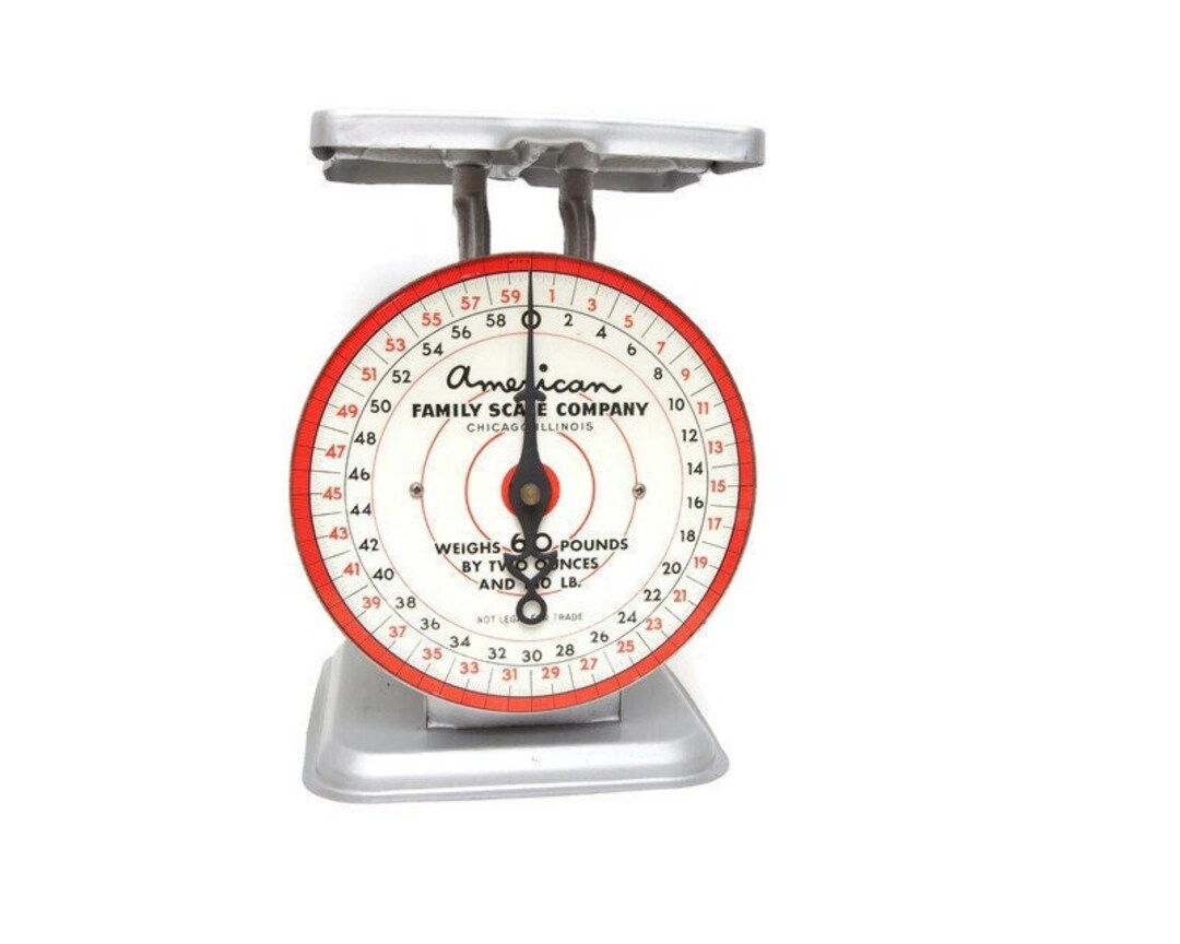 Antique American Family Scale Company 60 Lbs Kitchen Scale Gray Retro ...