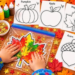 May include: A craft kit featuring four white paper templates with black outlines of a pumpkin, apple, maple leaf, and acorn. Includes a clear plastic bag containing a colorful maple leaf cutout, small gold star sequins, and four small bottles of paint.