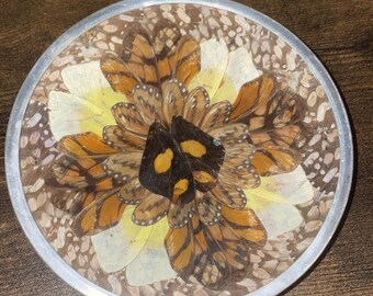 Vintage Butterfly Wing Art Trinket Dish Made In Brazil Wall Art Brown Orange