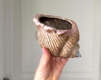 Vintage Conch Shell Planter Glazed Ceramic Coastal Nautical Pot