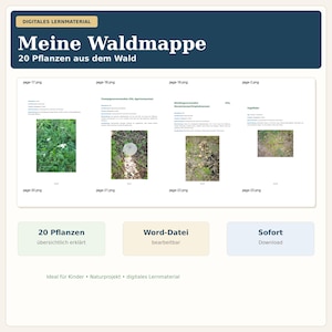 Op de afbeelding: Een digitale educatieve bron getiteld "Meine Waldmappe" met de tekst "20 planten uit het bos". De afbeelding bevat pagina's met plantenfoto's en beschrijvingen, samen met knoppen voor "20 Planten", "Word-bestand" en "Download".