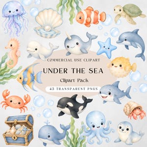 Under the sea watercolor clipart pack with cute ocean animals and transparent PNG files