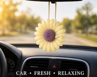 Aesthetic Closet Freshener • Hanging Scent Sachet • Small Gift Idea • Car Decor