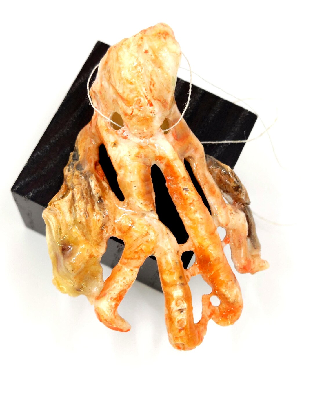 Amber Coral Octopus — Hand‑carved Oyster Shell Sculpture - Etsy
