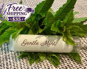 Gentle Mint Lip Balm - Small batch, all natural