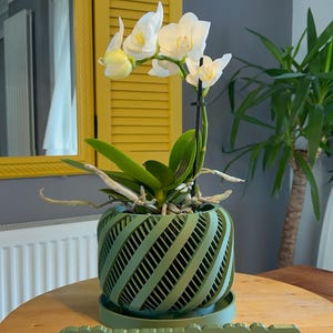 May include: A green, spiral-patterned planter with a white orchid. The planter sits on a matching saucer. The text "@biancoverde3d.lab" is on a green rectangular sign in front of the planter. The background includes a yellow mirror and a plant.