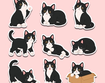 May include: A collection of nine individual stickers featuring black and white tuxedo cats in various poses, including sitting, stretching, lying down, and one cat resting inside a brown cardboard box, all with a white border on a pink background.