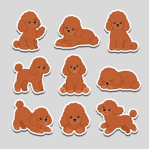 May include: A collection of nine individual stickers featuring brown poodles in various poses, including sitting, lying down, sleeping, and playing. Each poodle has a curly coat, dark eyes, and a small black nose, presented with a white border.