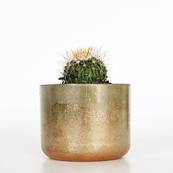 Indoor Handmade Concrete Planter + Gold urban housewares kitchen vessel