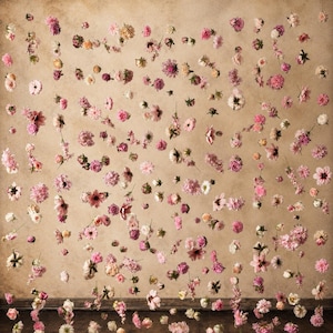 Puede incluir: Una colecci&oacute;n de numerosas flores peque&ntilde;as de color rosa, blanco y melocot&oacute;n esparcidas sobre una superficie beige texturizada. El arreglo floral presenta varias flores en diferentes etapas de floraci&oacute;n, creando un patr&oacute;n denso.
