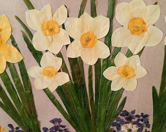 Cuadro decorativo de flores de narciso prensadas, decoración botánica para pared, composición floral ucraniana hecha a mano.