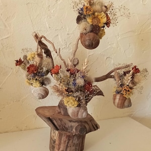 植物彫刻：ローズマリーの根、クルミのスライス、カタツムリの殻のプランター、ドライフラワー