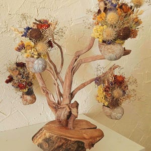 Escultura botánica: raíz de romero, rodaja de nuez, macetas de concha de caracol, flores secas.