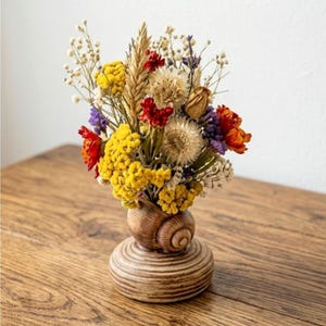 May include: A small, round, tan ceramic vase shaped like a snail shell, filled with a vibrant arrangement of dried flowers including yellow yarrow, red strawflowers, white baby's breath, purple statice, and a single stalk of golden wheat.