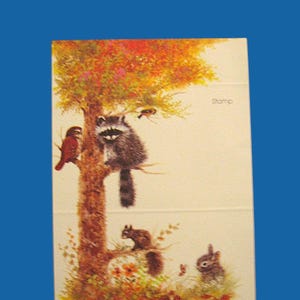 Cartões de notas dobráveis com tema de floresta; 16 "Brightnotes" novos/sem uso na embalagem original