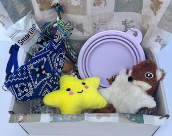 Caja de regalo para perros: set de regalo para cachorros con juguetes, golosinas y lindos accesorios.