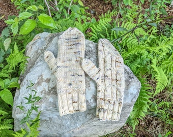 Rails to Trails Mittens