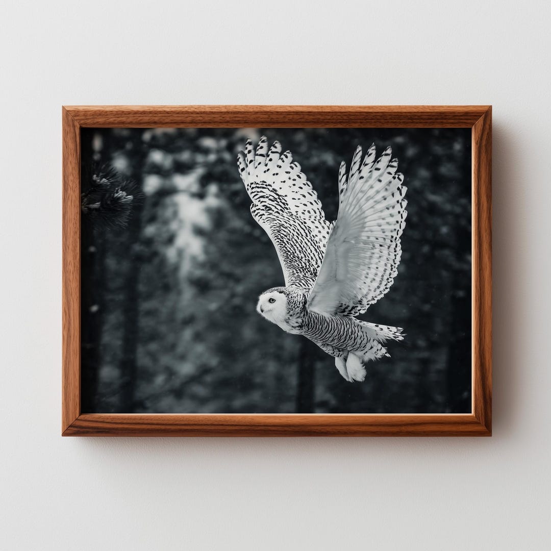 Snowy Owl in Flight Printable - Moody Winter Wildlife Decor, Black-and ...