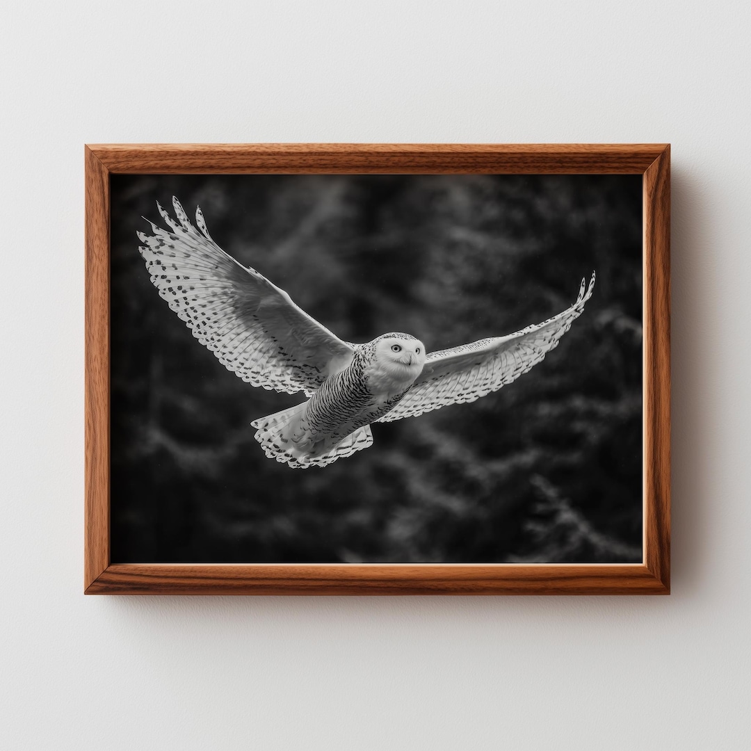 Printable Snowy Owl in Flight Wall Art - Moody Wildlife Photography ...
