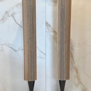 Eikenhouten hoes (paar) voor Beolab 8000-speaker