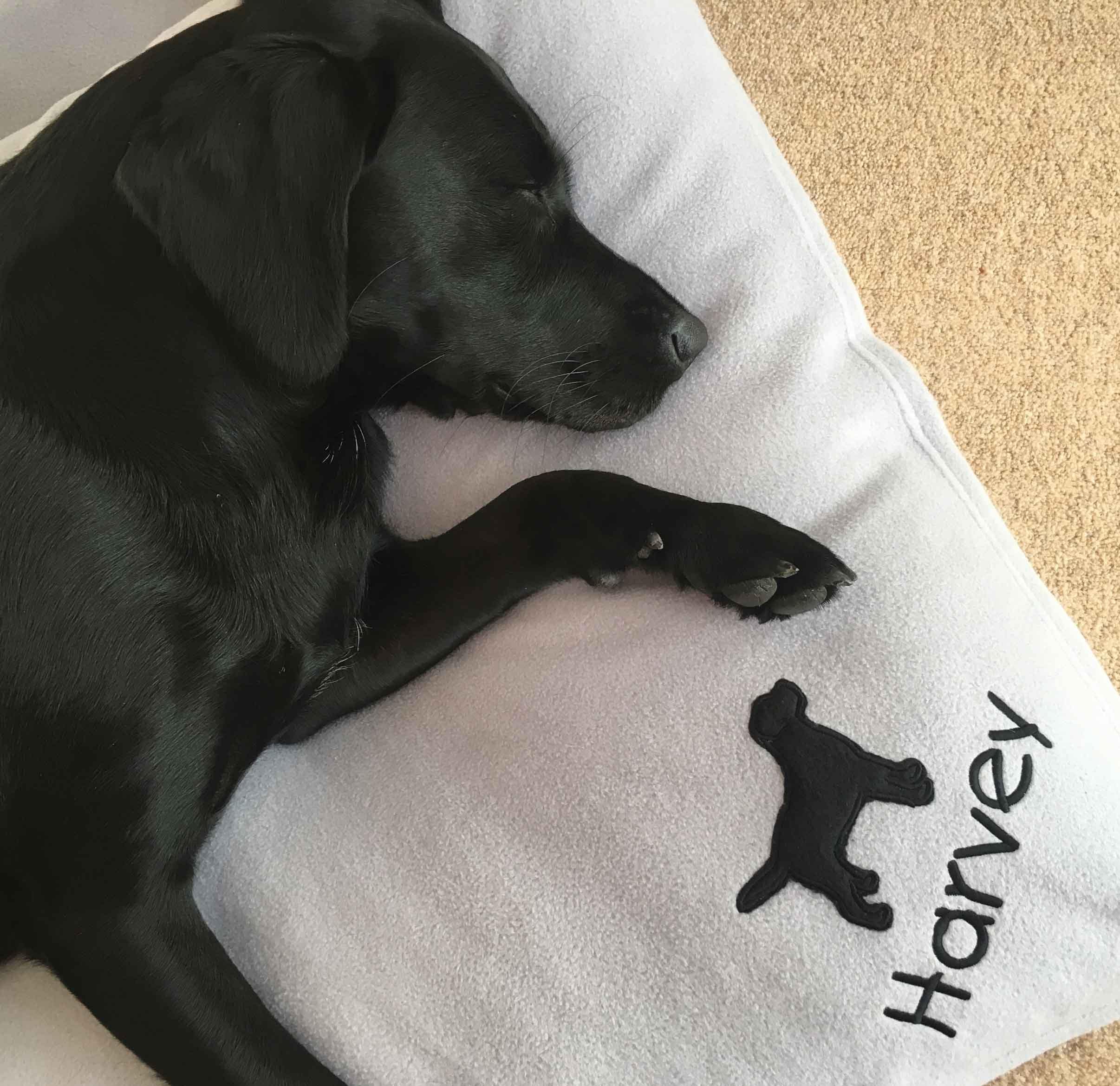 Personalised Black Labrador Blanket Etsy
