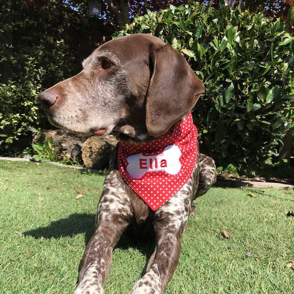 Personalised Slip-on Red Dog Bandana with Embroidered Name