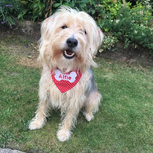 Personalised Slip-on Dog Bandana - Red & White Polka Dot
